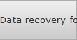 Data recovery for Chester data